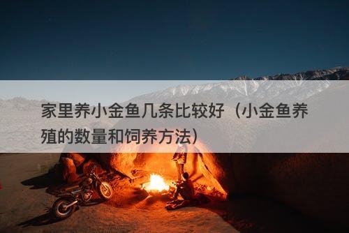 家里养小金鱼几条比较好(小金鱼养殖的数量和饲养方法)-图1 家里养小金鱼几条比较好(小金鱼养殖的数量和饲养方法)-图1