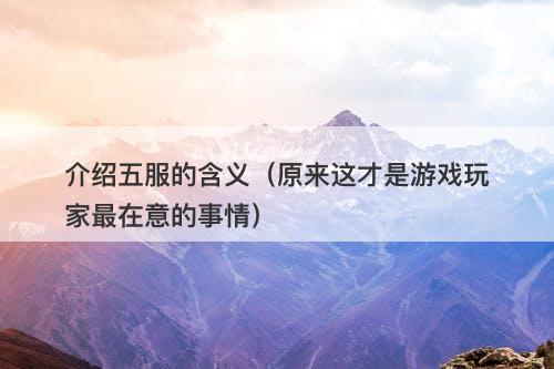 介绍五服的含义（原来这才是游戏玩家最在意的事情）-图1