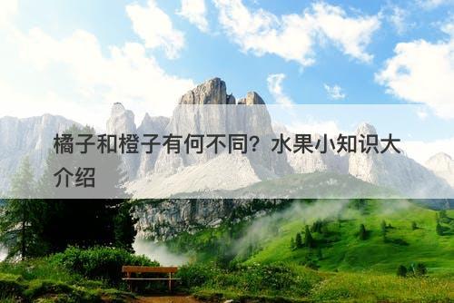 橘子和橙子有何不同？水果小知识大介绍-图1