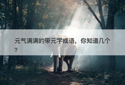 元气满满的带元字成语，你知道几个？-图1