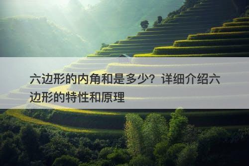 六边形的内角和是多少？详细介绍六边形的特性和原理-图1