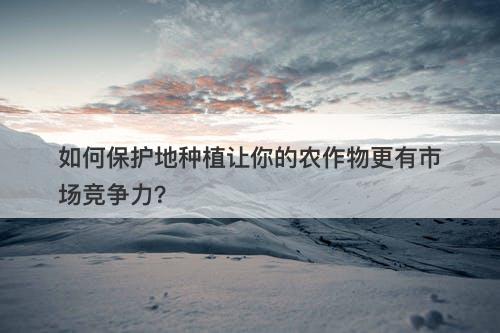 如何保护地种植让你的农作物更有市场竞争力？-图1