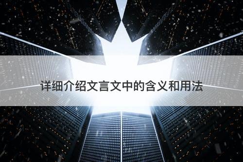 详细介绍文言文中的含义和用法