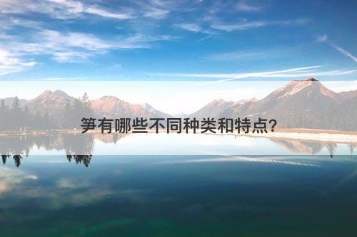 笋有哪些不同种类和特点？