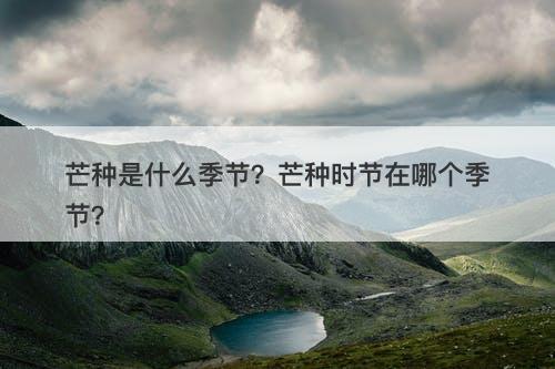 芒种是什么季节？芒种时节在哪个季节？