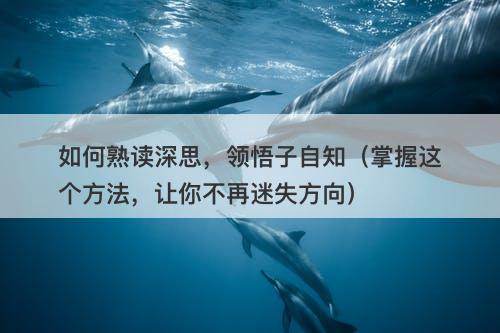 如何熟读深思,领悟子自知(掌握这个方法,让你不再迷失方向)