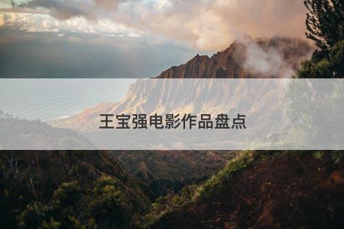 王宝强电影作品盘点