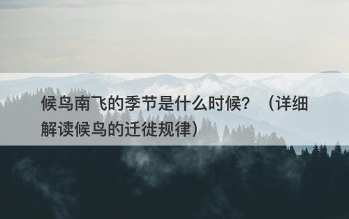 候鸟南飞的季节是什么时候？（详细解读候鸟的迁徙规律）