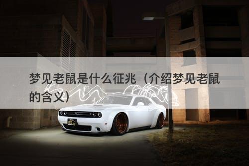 梦见老鼠是什么征兆（介绍梦见老鼠的含义）