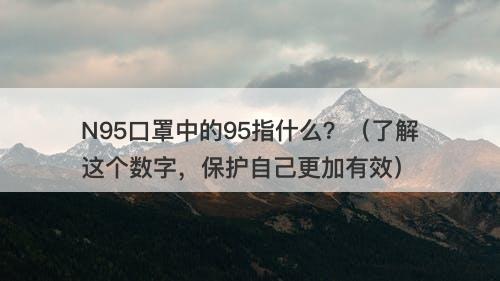 N95口罩中的95指什么？（了解这个数字，保护自己更加有效）