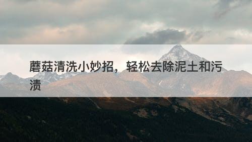 蘑菇清洗小妙招，轻松去除泥土和污渍-图1