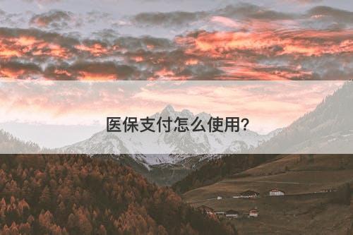 医保支付怎么使用?