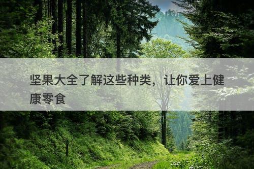 坚果大全了解这些种类，让你爱上健康零食