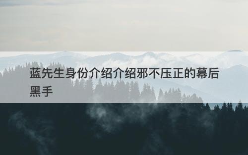 蓝先生身份介绍介绍邪不压正的幕后黑手