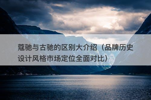 蔻驰与古驰的区别大介绍（品牌历史设计风格市场定位全面对比）