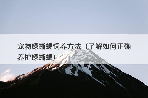 宠物绿蜥蜴饲养方法(了解如何正确养护绿蜥蜴)