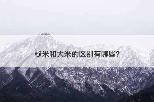 糙米和大米的区别有哪些?