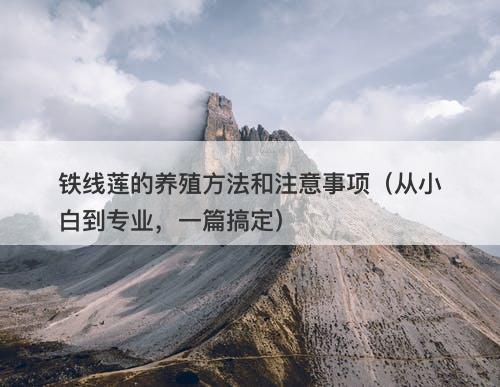 铁线莲的养殖方法和注意事项(从小白到专业,一篇搞定)