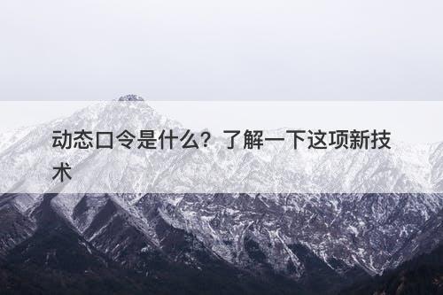 动态口令是什么？了解一下这项新技术