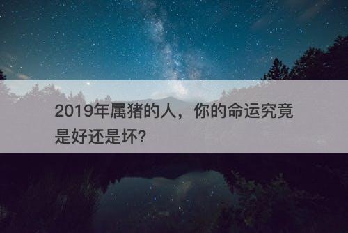 2019年属猪的人，你的命运究竟是好还是坏？