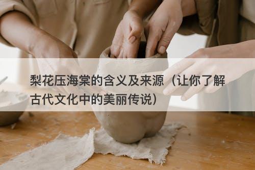 梨花压海棠的含义及来源(让你了解古代文化中的美丽传说)