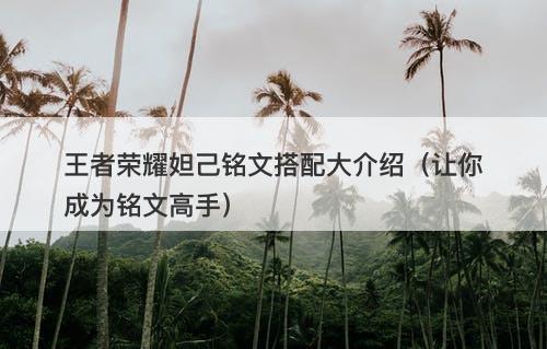 王者荣耀妲己铭文搭配大介绍（让你成为铭文高手）
