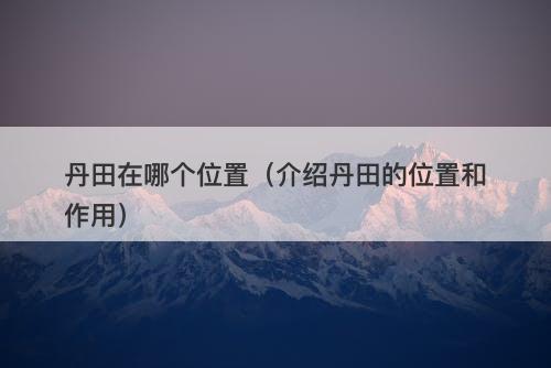 丹田在哪个位置(介绍丹田的位置和作用)