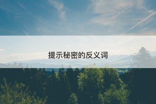 提示秘密的反义词