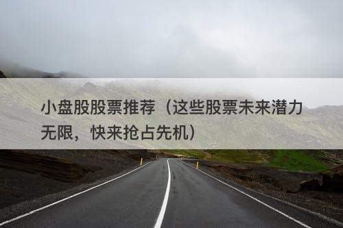 小盘股股票推荐(这些股票未来潜力无限,快来抢占先机)