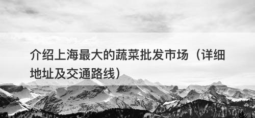 介绍上海最大的蔬菜批发市场(详细地址及交通路线)