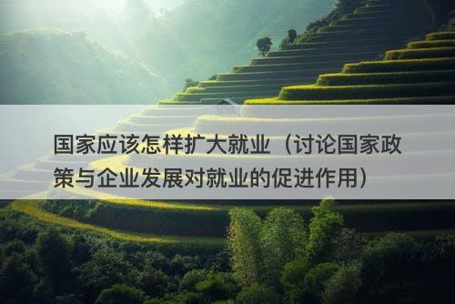 国家应该怎样扩大就业(讨论国家政策与企业发展对就业的促进作用)