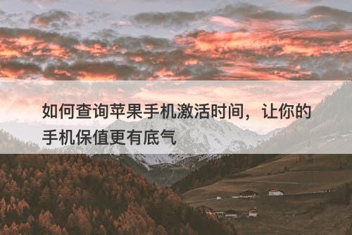 如何查询苹果手机激活时间，让你的手机保值更有底气