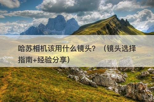 哈苏相机该用什么镜头？（镜头选择指南+经验分享）