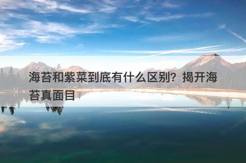 海苔和紫菜到底有什么区别?揭开海苔真面目
