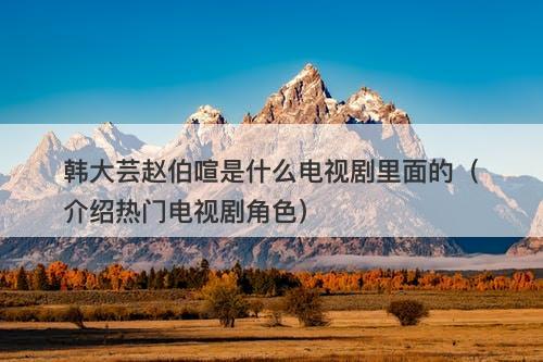 韩大芸赵伯喧是什么电视剧里面的（介绍热门电视剧角色）