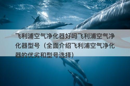 飞利浦空气净化器好吗飞利浦空气净化器型号（全面介绍飞利浦空气净化器的优劣和型号选择）