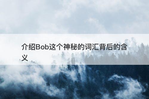 介绍Bob这个神秘的词汇背后的含义