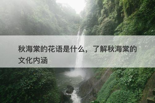 秋海棠的花语是什么,了解秋海棠的文化内涵