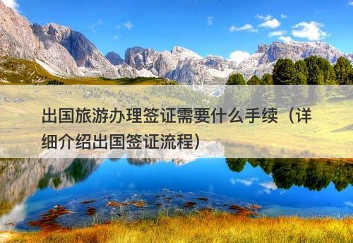 出国旅游办理签证需要什么手续(详细介绍出国签证流程)