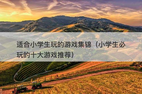 适合小学生玩的游戏集锦(小学生必玩的十大游戏推荐)