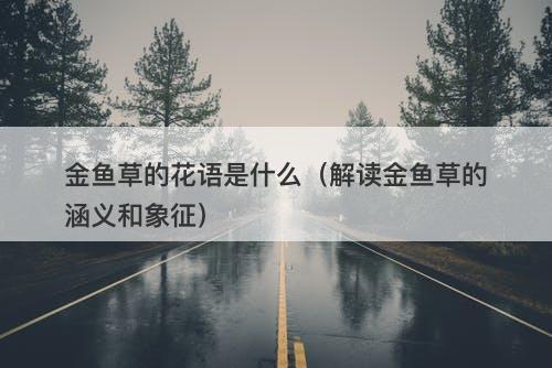 金鱼草的花语是什么(解读金鱼草的涵义和象征)