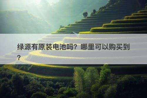 绿源有原装电池吗?哪里可以购买到?