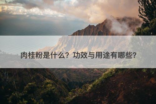 肉桂粉是什么?功效与用途有哪些?