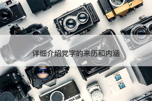 详细介绍党字的来历和内涵