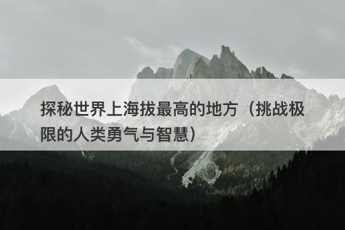 探秘世界上海拔最高的地方(挑战极限的人类勇气与智慧)