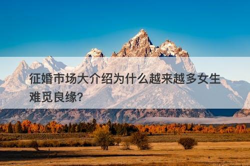 征婚市场大介绍为什么越来越多女生难觅良缘?