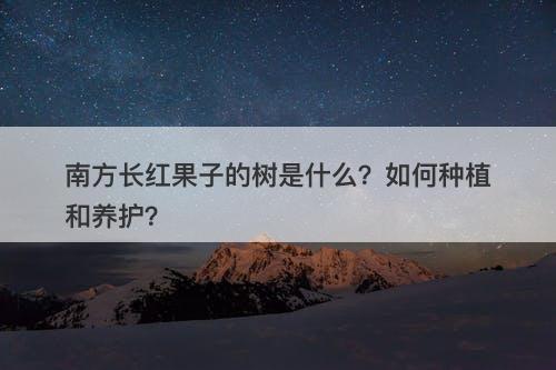 南方长红果子的树是什么?如何种植和养护?