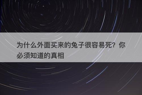 为什么外面买来的兔子很容易死?你必须知道的真相