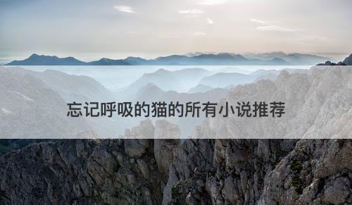 忘记呼吸的猫的所有小说推荐