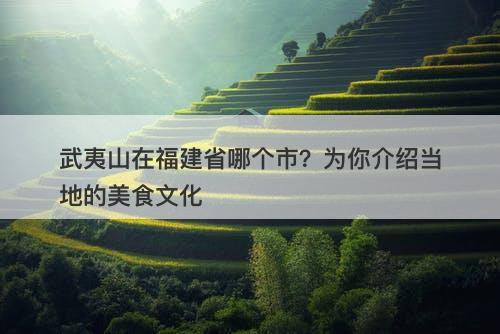 武夷山在福建省哪个市？为你介绍当地的美食文化